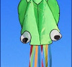 3D 4M Large Octopus Beach Kite with Handle Line