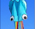 3D 4M Large Octopus Beach Kite with Handle Line