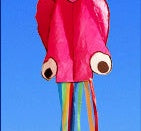 3D 4M Large Octopus Beach Kite with Handle Line