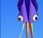 3D 4M Large Octopus Beach Kite with Handle Line