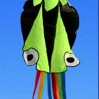 3D 4M Large Octopus Beach Kite with Handle Line