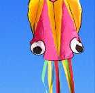 3D 4M Large Octopus Beach Kite with Handle Line