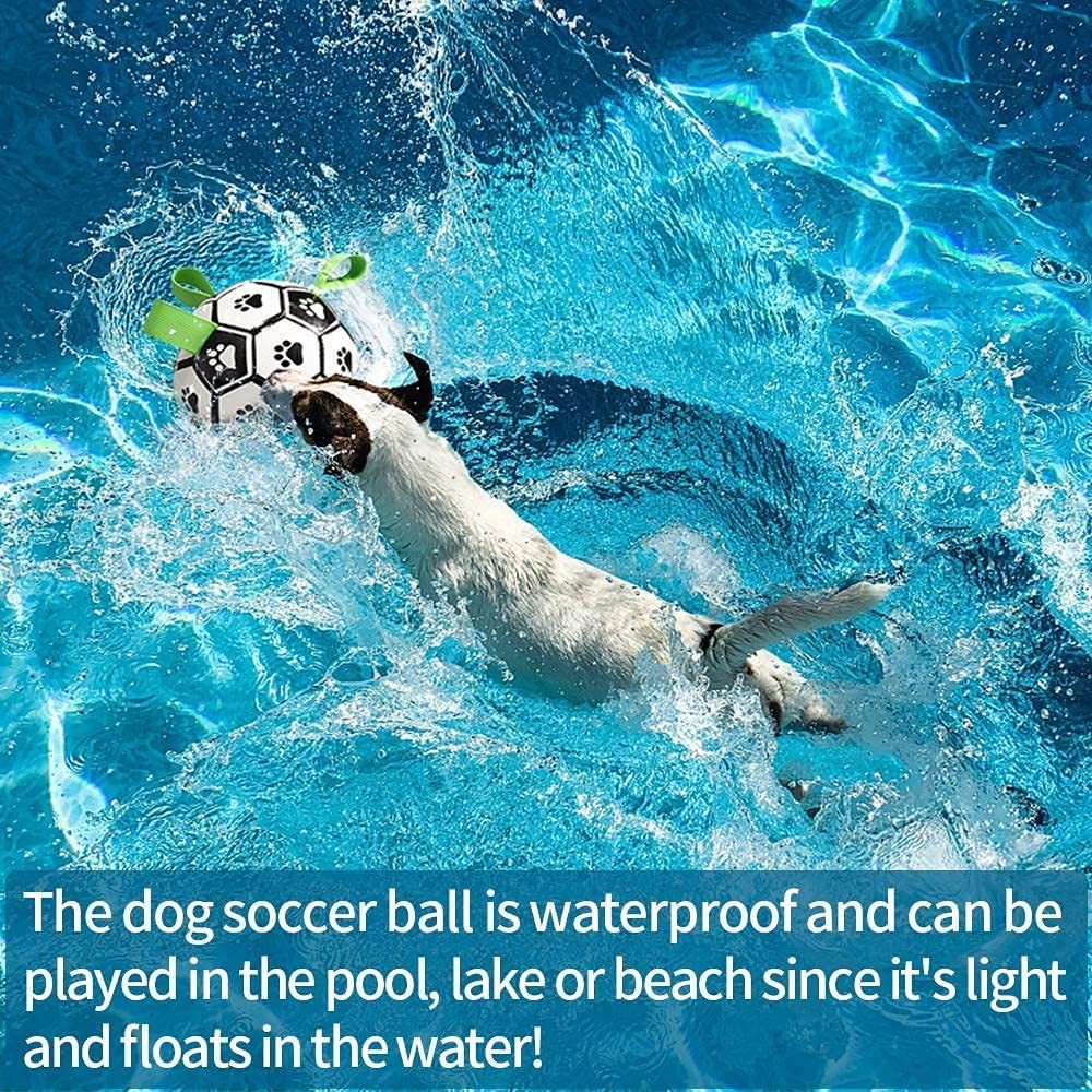 Interactive Football Training Toy For Dogs