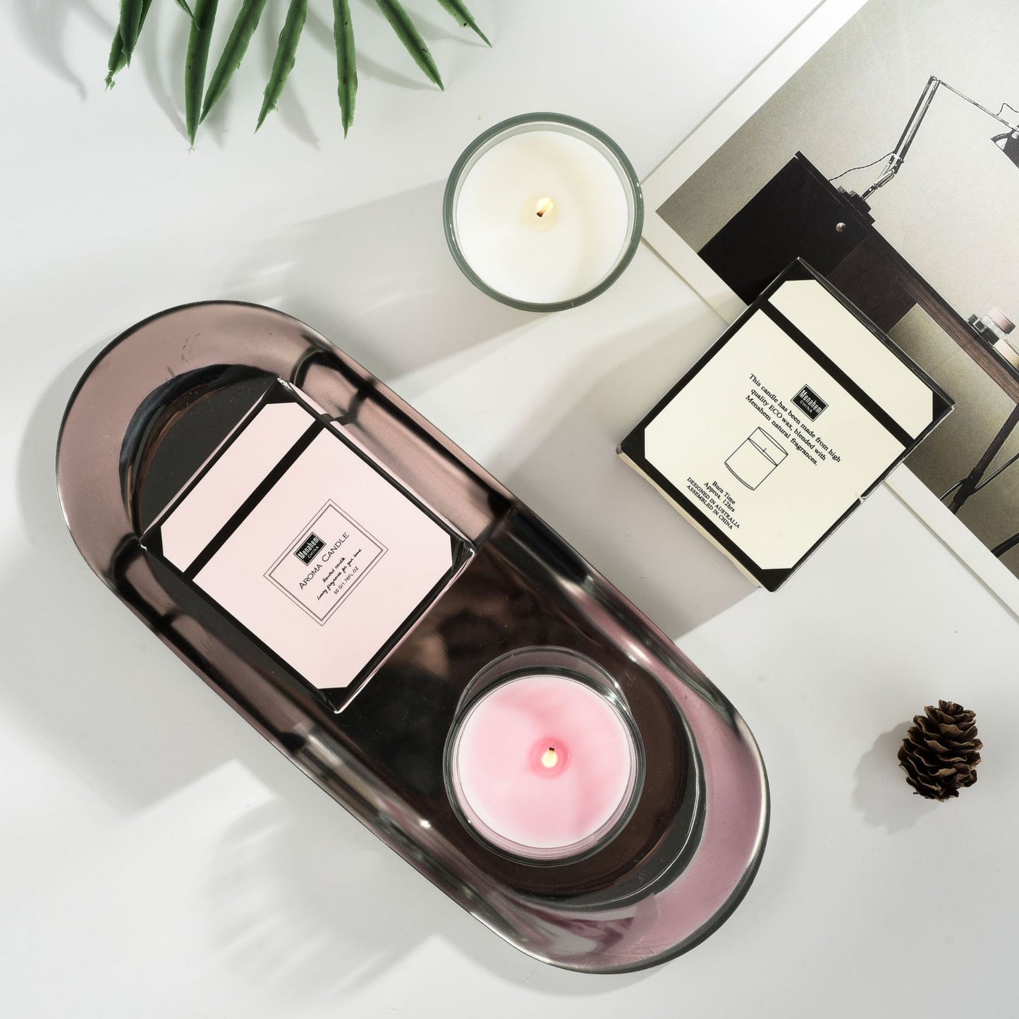 Plant Glass Aromatherapy Candles