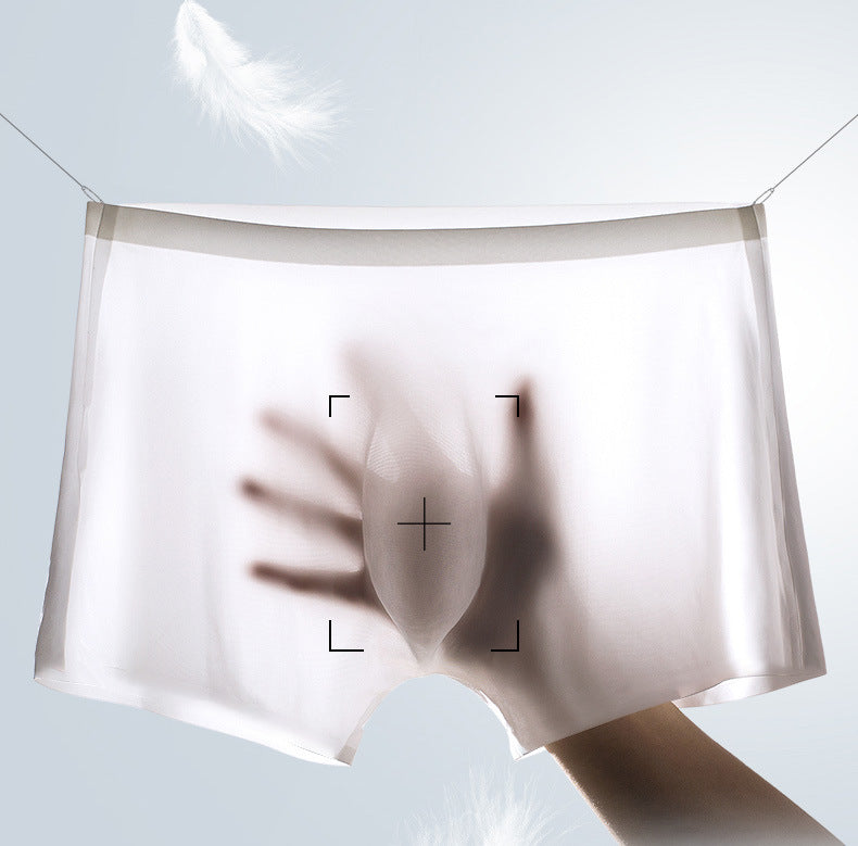 3D pocket Light and translucent Boxer Shorts For Men