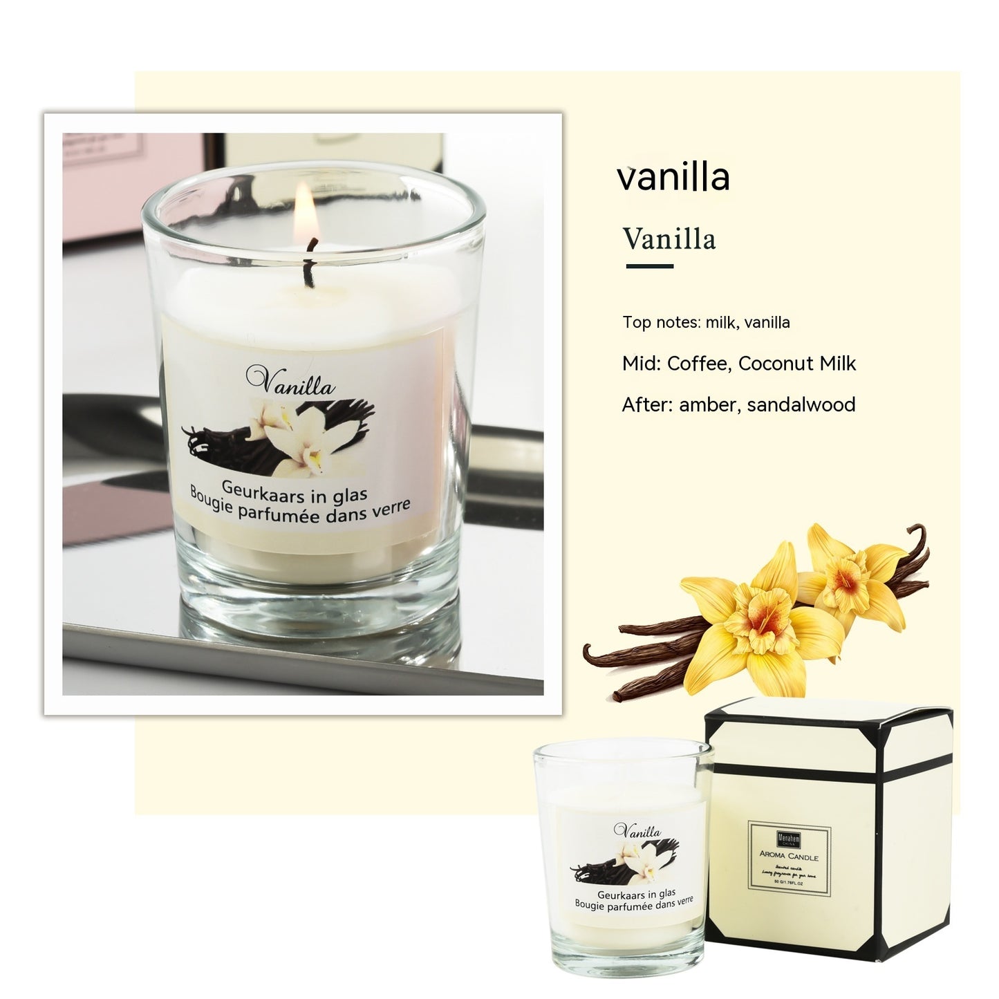 Plant Glass Aromatherapy Candles