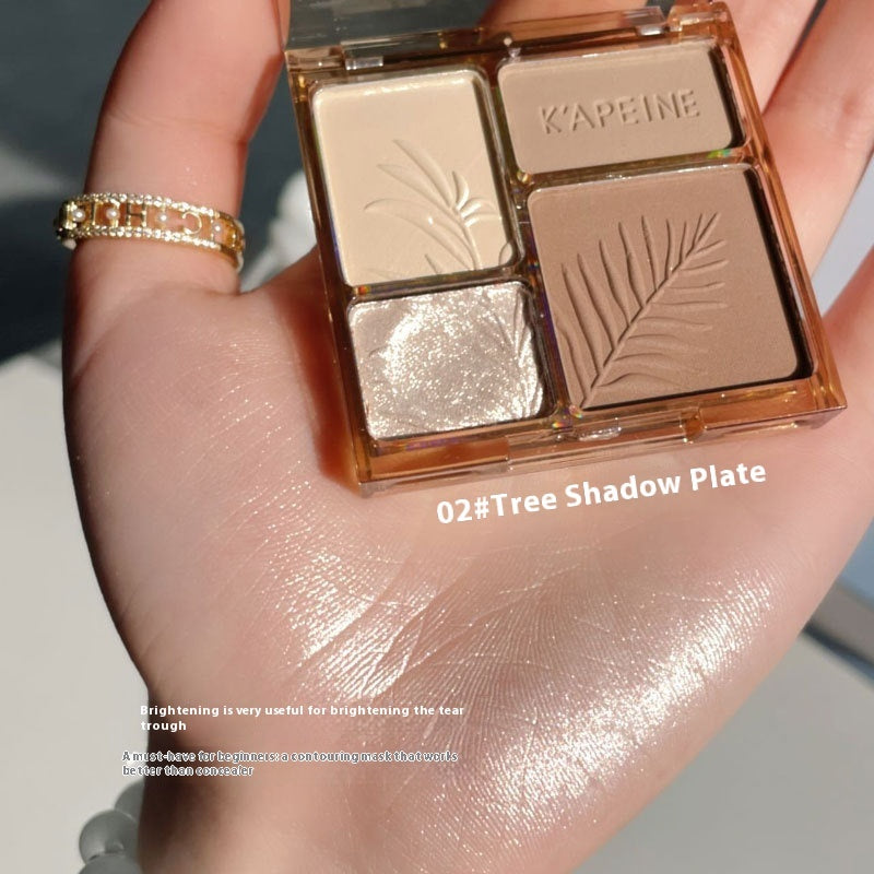 Four Colors Matte Brightening Highlight Eyeshadow