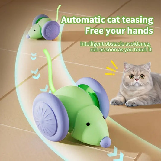 Interactive Electric Mouse Car Toy for Cats